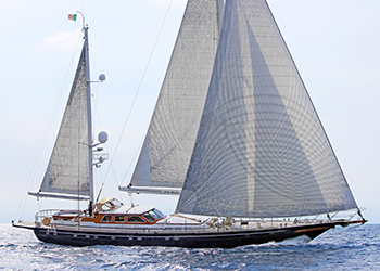 ALME SOL - JONGERT 31T ALME SOL - JONGERT 31T