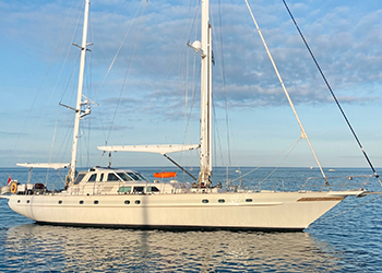 HIDE N SEA - JONGERT 25DS 