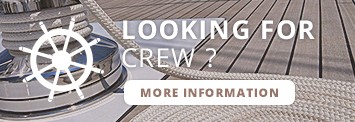 Looking_crew